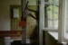 hanging_on_reduced